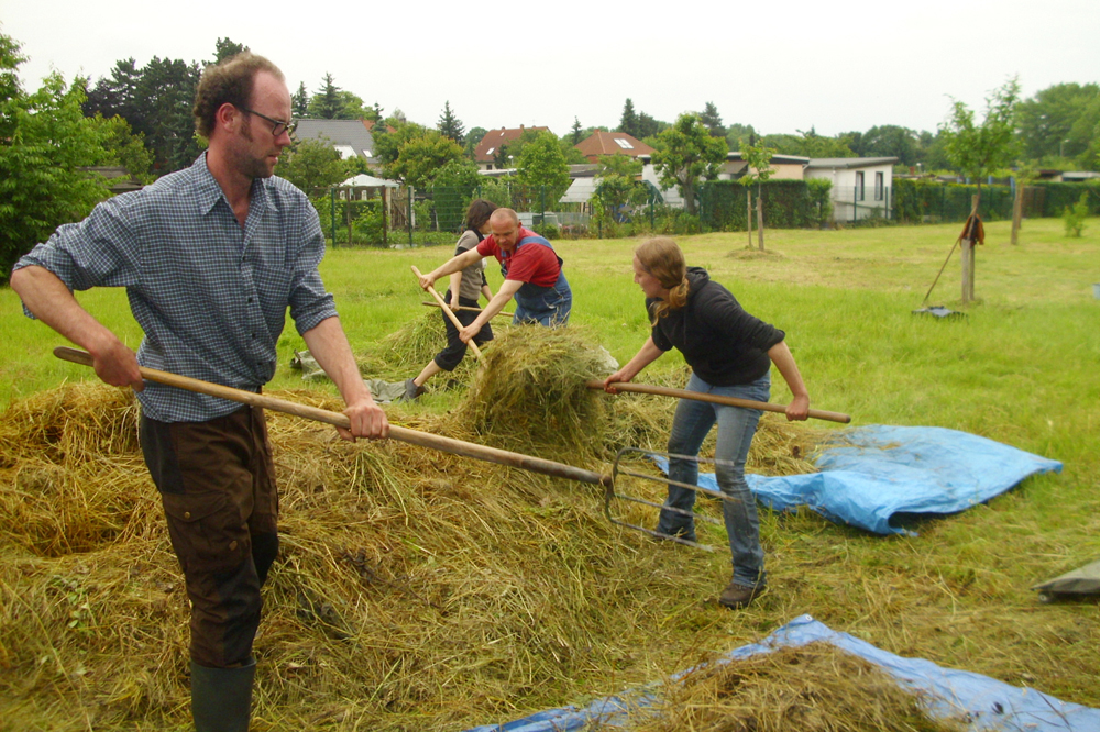 Mahd in Leutzsch. Foto: Ökolöwe