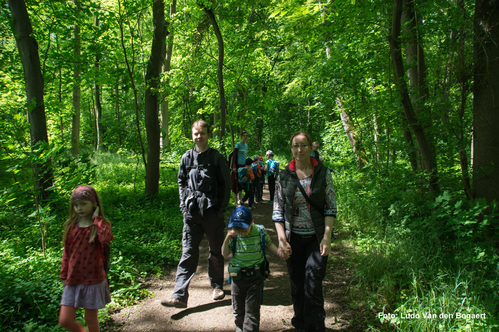 Spaziergang im Auwald. Foto: Ludo van den Bogaert