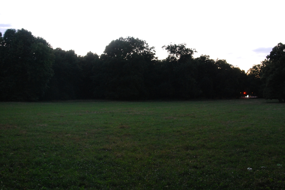 Samstagabend, 18 Grad, Clara-Zetkin-Park. Wenn Deutschland spielt, bleiben die meisten Wiesen leer. Foto: L-IZ.de