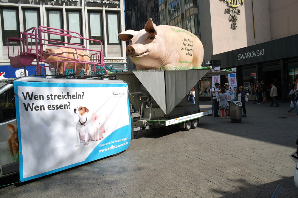 GrunzMobil April 2015 in Köln. Foto: Albert Schweitzer Stiftung für unsere Mitwelt