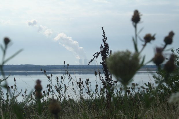 Blick über den Zwenkauer See zum Kraftwerk Lippendorf. Foto: Ralf Julke