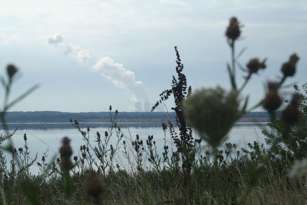 Blick über den Zwenkauer See zum Kraftwerk Lippendorf. Foto: Ralf Julke