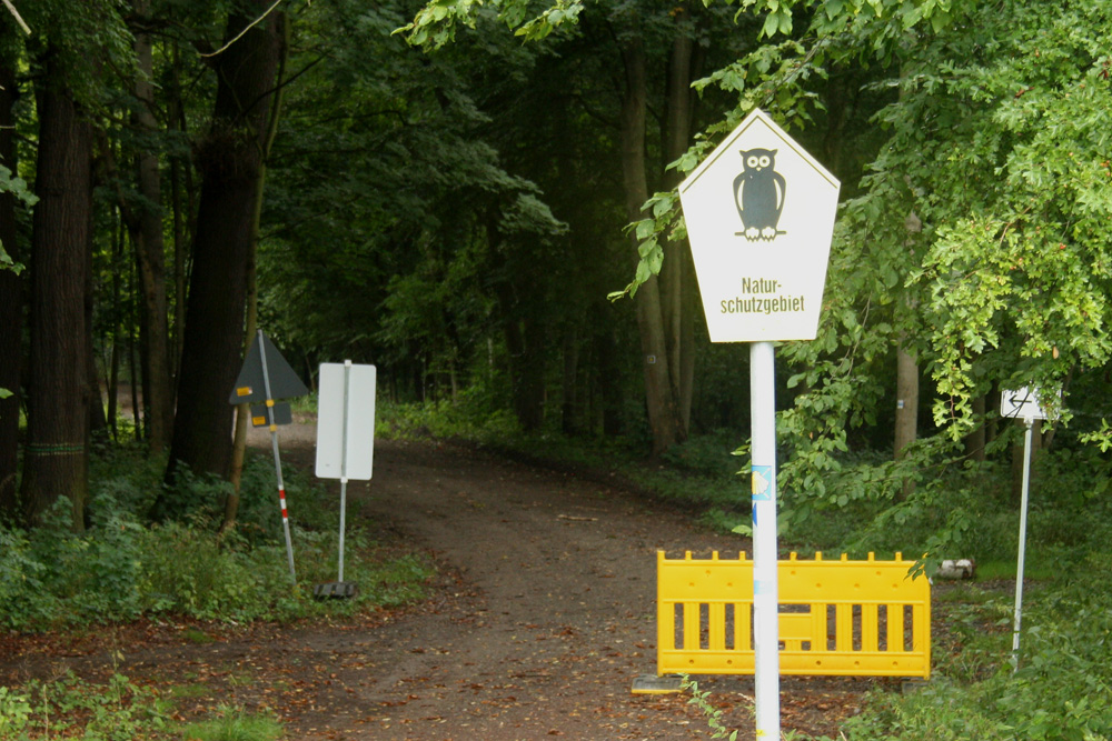 Manchmal verwirren auch Schilderwälder im Wald. Foto: Ralf Julke