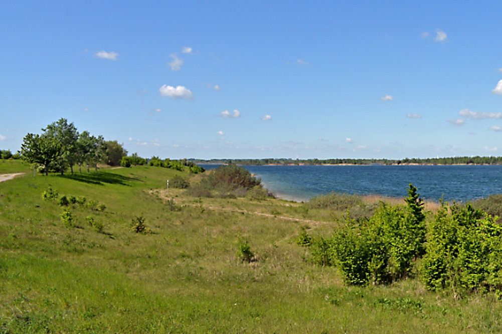 Der Werbeliner See. Foto: Stadt Delitzsch