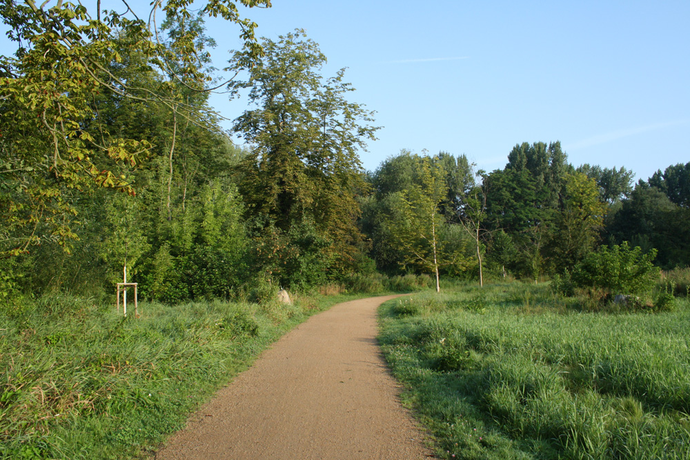 Der Parthe-Mulde-Radweg im Abtnaundorfer Park. Foto: Ralf Julke
