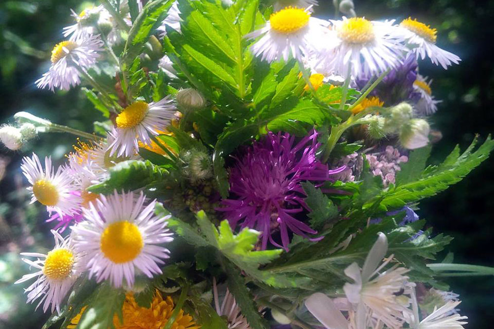 Und jetzt einen Geburtstagsstrauß raus für den Herrn Geheimrat. Foto: Daniel Thalheim