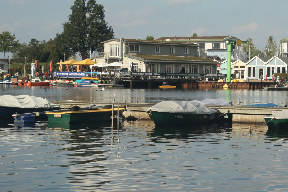Am Cospudener See. Foto: Ralf Julke