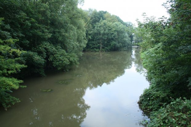 Zusammenfluss von Elstermühlgraben (links) und Weißer Elster an der Marienbrücke im Rosental. Foto: Ralf Julke