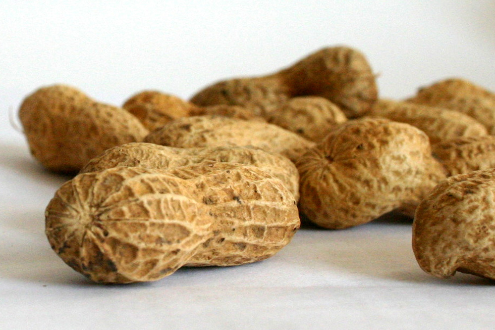 Einen Bibliothekar hat bestimmt jeder irgendwo im Unternehmen. Foto: Ralf Julke