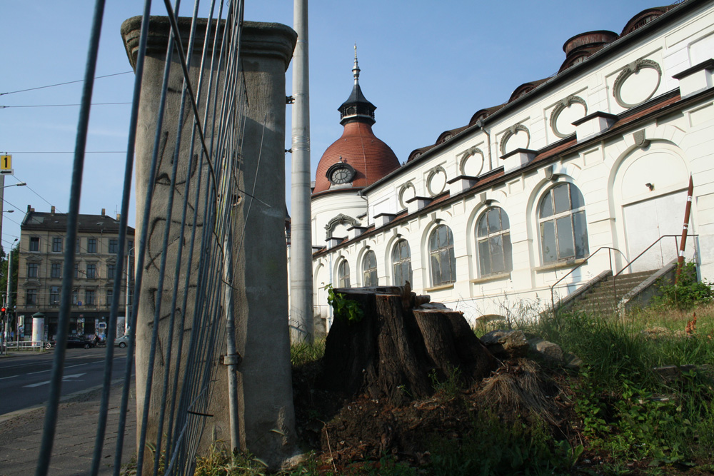 Felsenkeller mit Baumstumpf. Foto: Ralf Julke