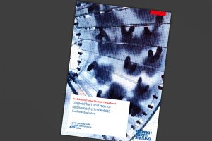 Die FES-Studie „Ungleichheit und makroökonomische Instabilität“. Cover: FES