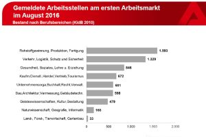 Die im August gemeldeten Arbeitsstellen in Leipzig. Grafik: Arbeitsagentur Leipzig