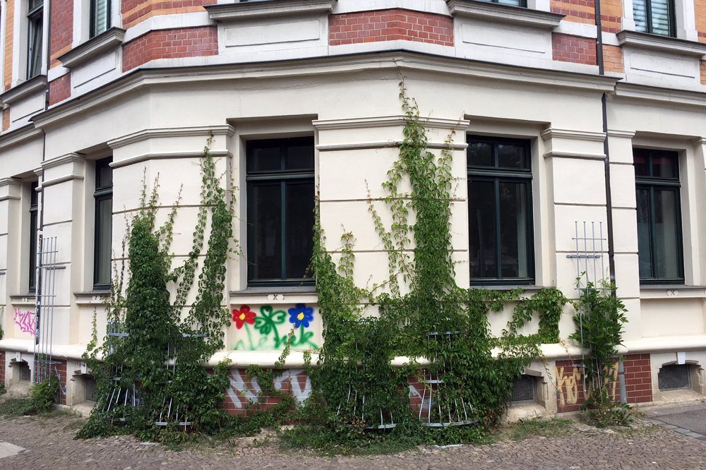 Kletterfix. Foto: Ökolöwe