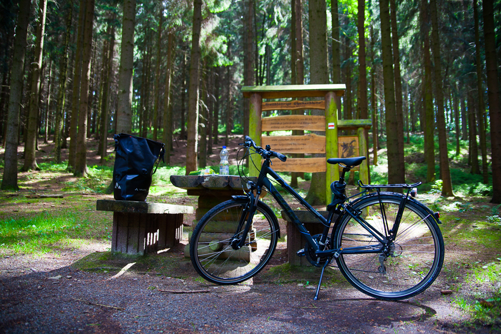 Rast auf dem Mulderadweg. Foto: LTM/A. Klich