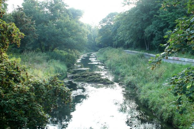 Gewässerqualität schlecht: die Parthe bei Schönefeld. Foto: Ralf Julke