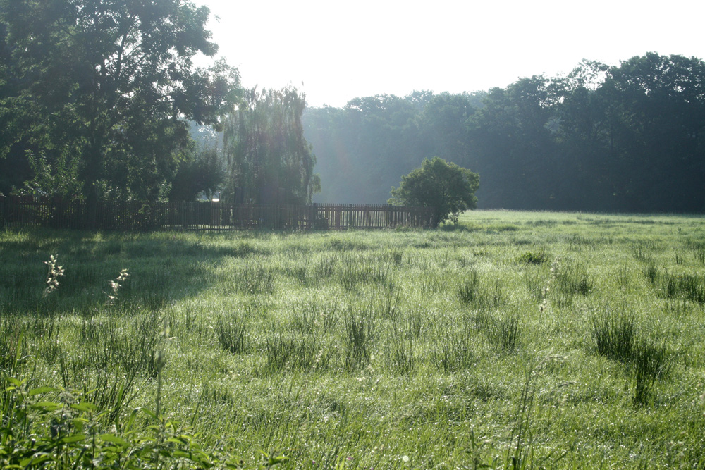 Parthenaue bei Thekla. Foto: Ralf Julke