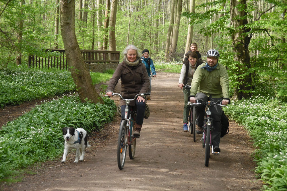Radeln im Auwald: Foto: NABU Sachsen