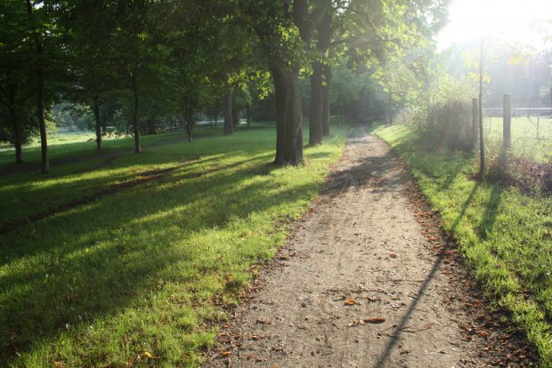 Reiterallee in Abtnaundorf. Foto: Ralf Julke