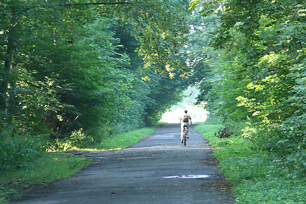 Auf dem Leibnizweg im Rosental. Foto: Ralf Julke