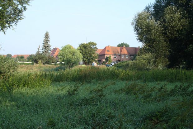 Blick zur Weidenhofsiedlung. Foto: Ralf Julke