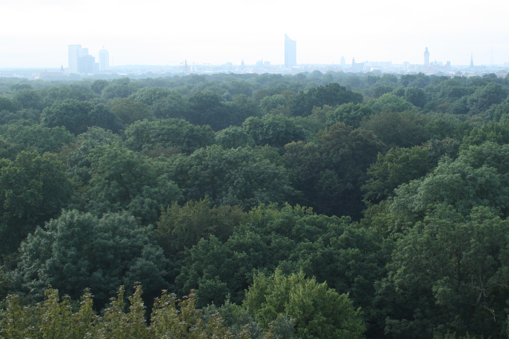 Irgendwo hier ist Mitteldeutschland. Foto: Ralf Julke