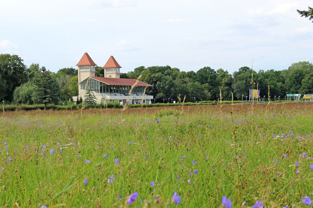 Leipzigs älteste Sportstätte öffnet zum Tag des offenen Denkmals. Foto: Scheibenholz GmbH