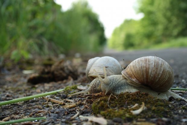 No comment. Foto: Ralf Julke