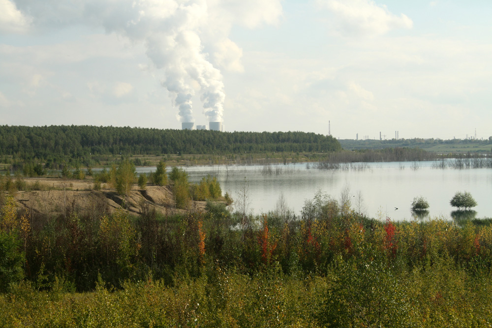 Der Nordostzipfel des Zwenkauer Sees. Foto: Ralf Julke