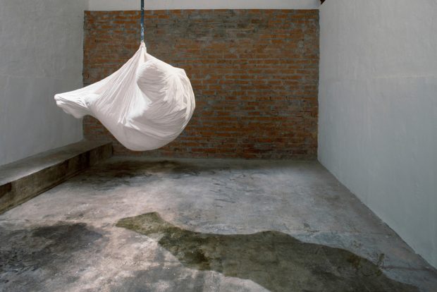 Agnes Lammert (2013).