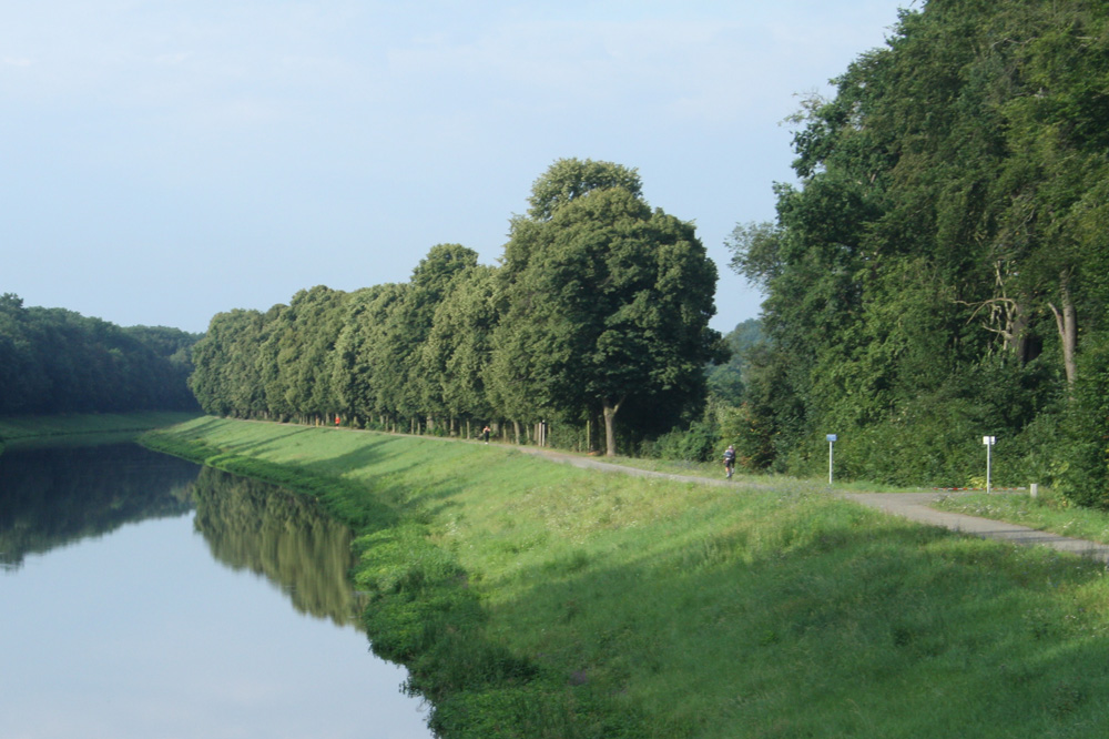 Radweg am Elsterflutbett. Foto: Ralf Julke
