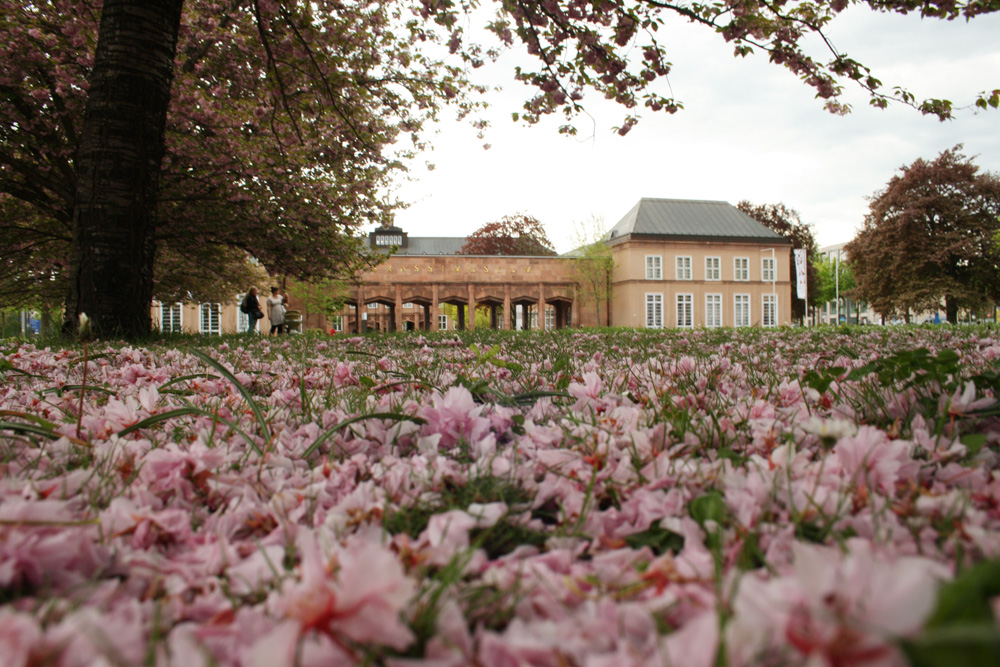 GRASSI Museumskomplex am Johannisplatz. Foto: Ralf Julke
