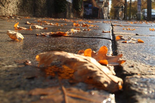 Der Buß- und Bettag gehört zur „Stillen Zeit“. Foto: Ralf Julke