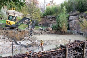 Die Umbauarbeiten in der Löwensavanne haben begonnen. Foto: Zoo Leipzig