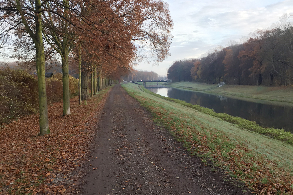 Der Radweg am Elsterflutbett. Foto: Fraktion Bündnis 90 / Die Grünen