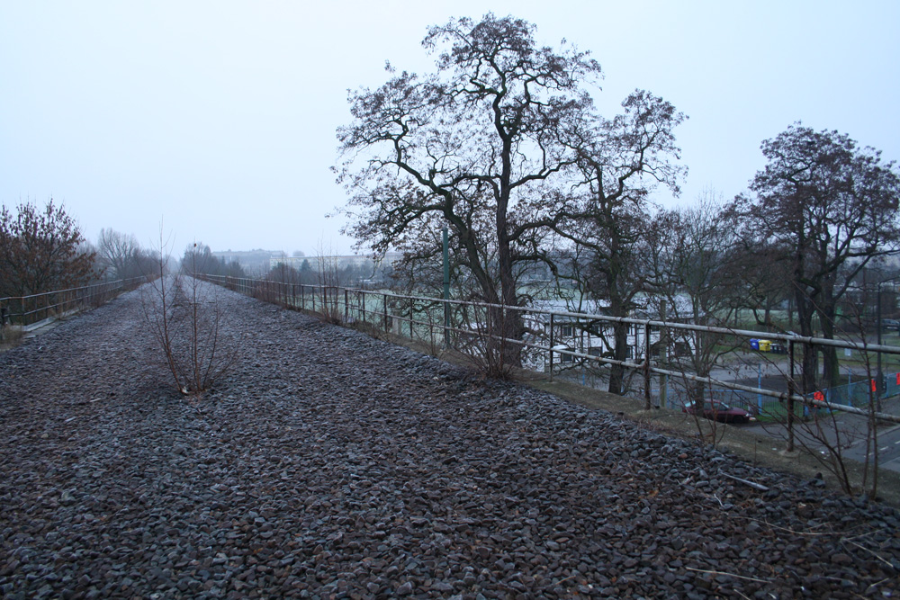 Auf dem Sellerhäuser Bahnbogen. Foto: Ralf Julke