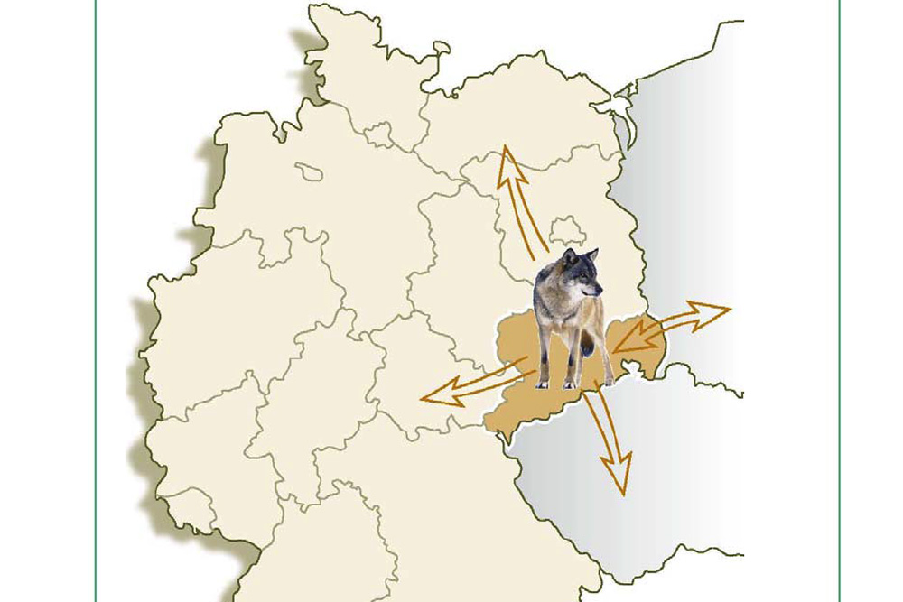 Managementplan für den Wolf in Sachsen. Cover: Freistatt Sachsen