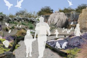 Erste Skizze für das künftige Feuerland mit den Pinguinen. Grafik: Zoo Leipzig