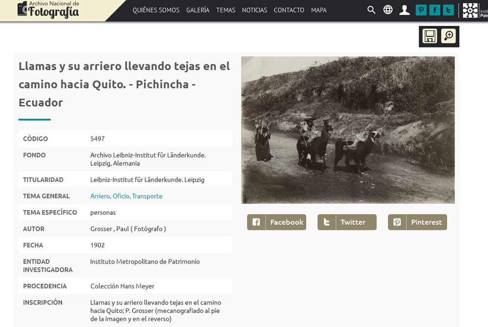 Aus der Sammlung von Hans Meyer: Bäuerinnen mit ihren Lamas auf dem Weg nach Quito. Foto: Paul Grosser, Copyright: Leibniz Institut für Länderkunde