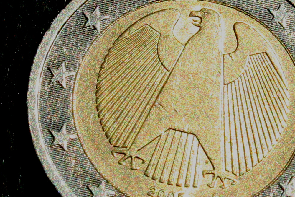 Die gefiederte Gier nach Geld. Foto: Ralf Julke