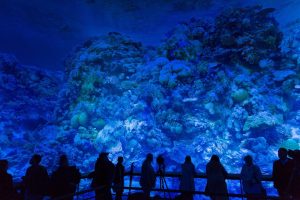 Besucher im 360°-Panorama Great Barrier Reef. Foto: Tom Schulze