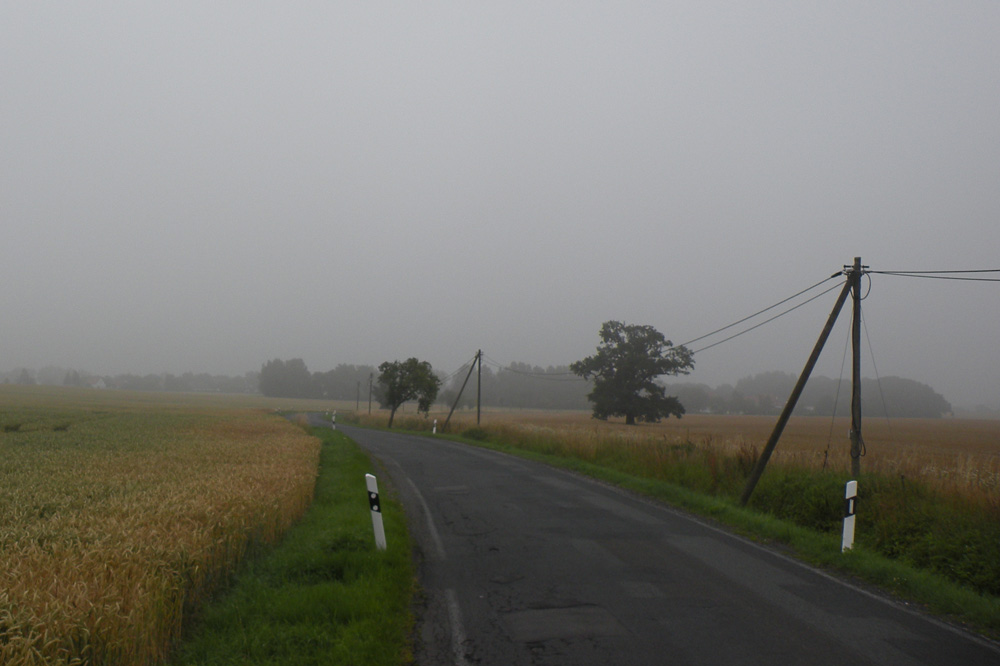 Straße im Morgendunst. Foto: Marko Hofmann