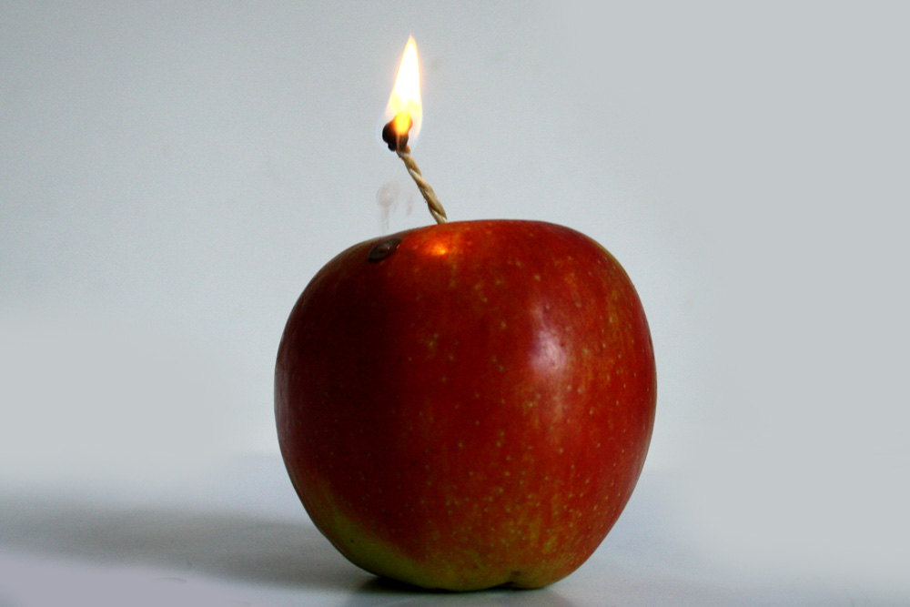 Der Terror ist kein Naturereignis. Foto: L-IZ