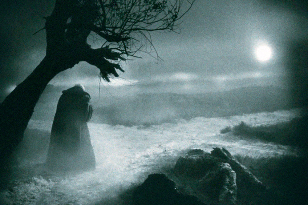 Auszug Cover „Das blindgeweinte Jahrhundert“. Foto: Suhrkamp