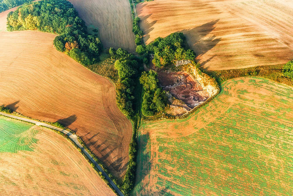 Hecken als ökologische Vorrangfläche im Eichsfeld: Biotopvernetzung für Fauna und Flora. Foto: UFZ, Thomas Hesse