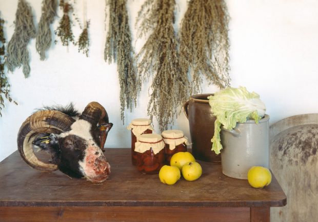 Stillleben von Jill Luise Muessig. Copyright: Josef Filipp Galerie 