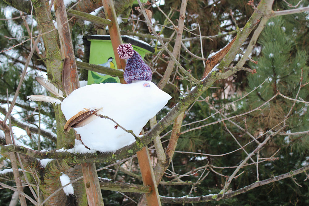 NABU Sachsen lädt zur Wintervogelzählung und zum Schneevogel bauen ein. Foto: Philipp Ebert