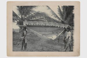 Togo um 1900. Foto: GRASSI MVL