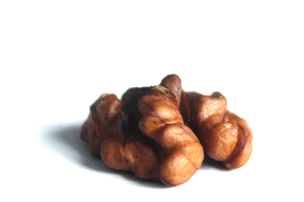 Futter für kluge Köpfe. Foto: Ralf Julke