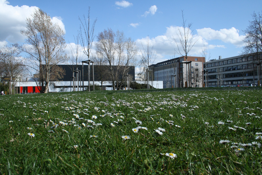 Der künftige Bauplatz an der Jablonowskistraße. Foto: Ralf Julke