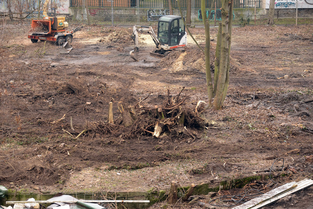 Rodung in der Engertstrasse. Foto: Ökolöwe